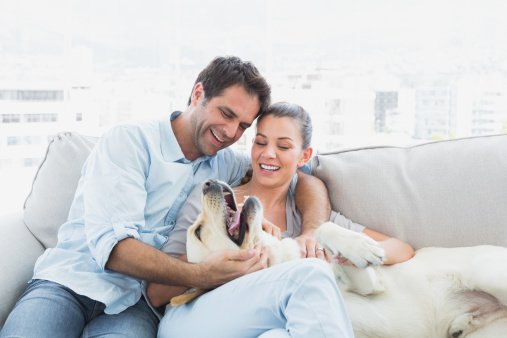couple with a dog on a couch