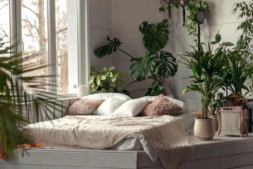 bed